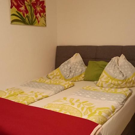 Appartement Sonnenschein Schladming Zewnętrze zdjęcie